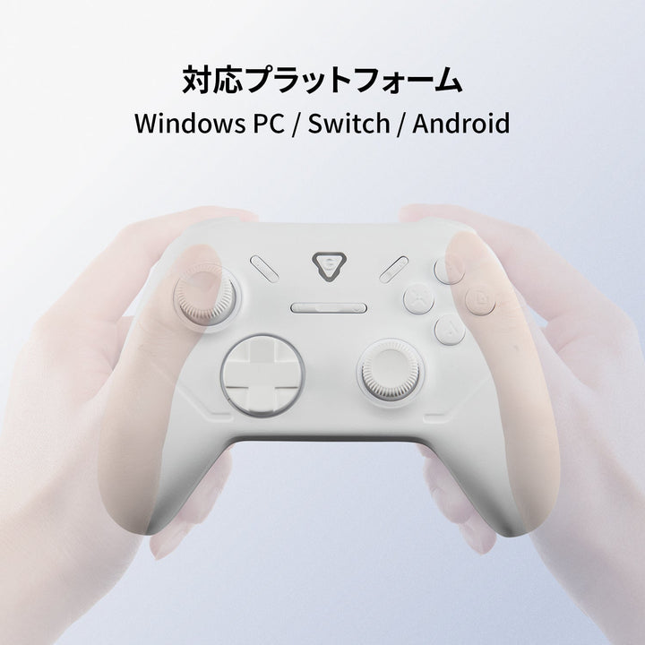 Team GRAPHT Omni ワイヤレス ゲーミングコントローラー ポーリングレート 1,000Hz ジャイロセンサー搭載 ターボモード  Windows PC / Nintendo Switch / Android 対応 Xinput DirectInput 軽量ゲームパッド