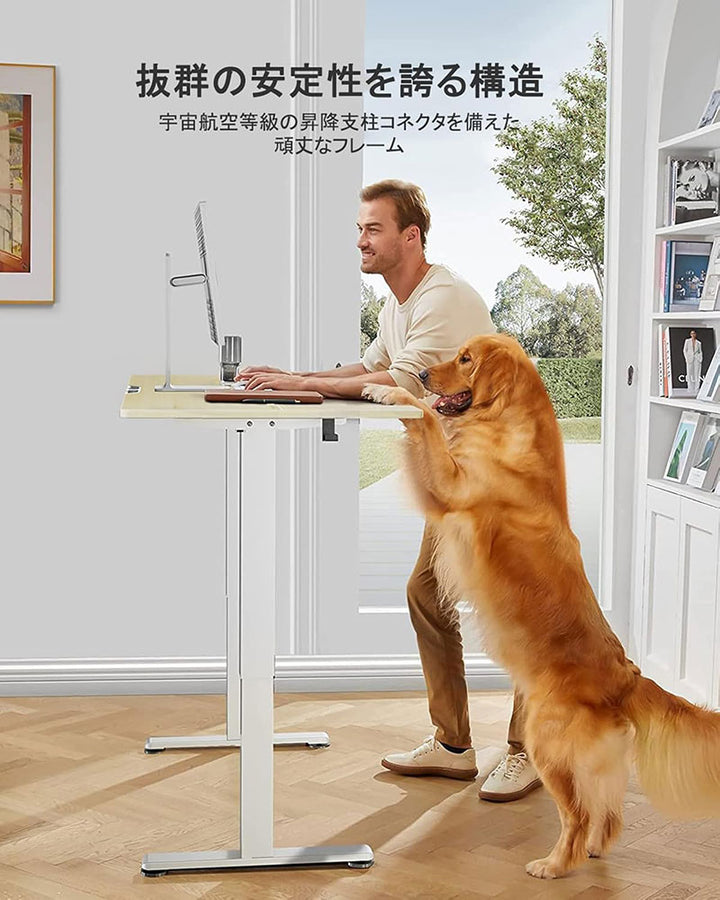 ErGear 電動昇降式 スタンディングデスク 幅120 x 奥行き60 x 高さ72-118cm ナチュラル木目調(天板) / 白(足)