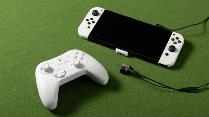 Team GRAPHT Omni ワイヤレス ゲーミングコントローラー ポーリングレート 1,000Hz ジャイロセンサー搭載 ターボモード  Windows PC / Nintendo Switch / Android 対応 Xinput DirectInput 軽量ゲームパッド