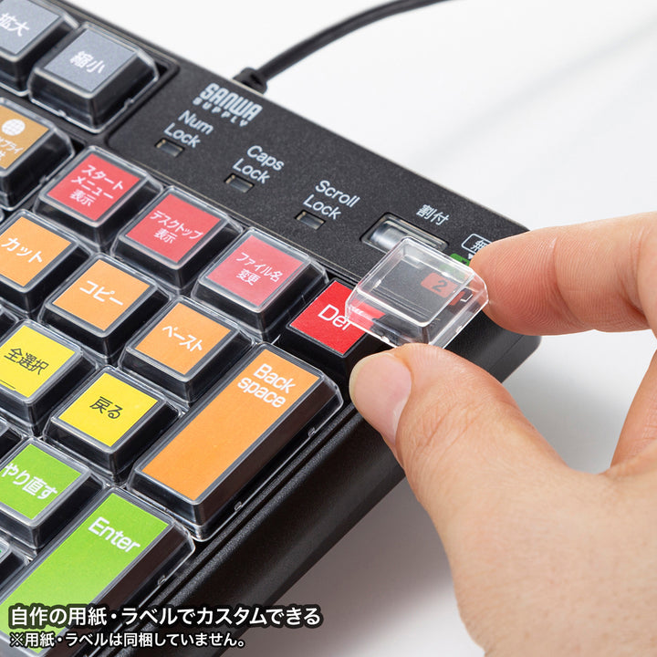 SANWA 有線 プログラマブルキーボード 日本語配列 有線 テンキー付き 108キー マクロキーボード 割り当て機能 メンブレン 業務効率化