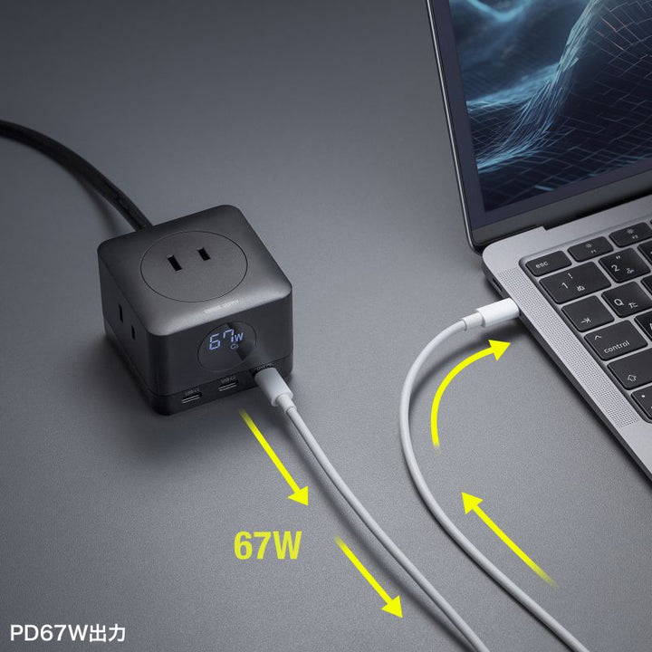 SANWA 電源タップ USB Type-C AC 3個口×2 PD対応 GaN PD67W 2m ブラック