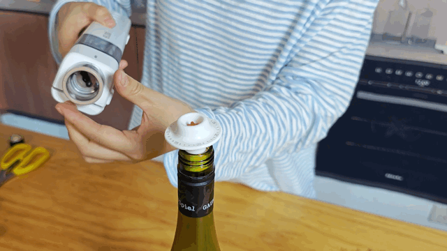 ELOD Suseal Home 充電式真空パック機 料理 保存 真空フードシーラー