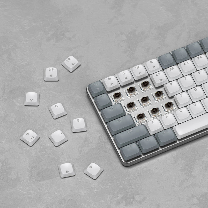 Satechi SM1 Slim Mechanical Backlit Bluetooth Keyboard US Layout テンキーレス タクタイル 茶軸 キーボード 英語配列 薄型メカニカルキーボード Win Mac対応