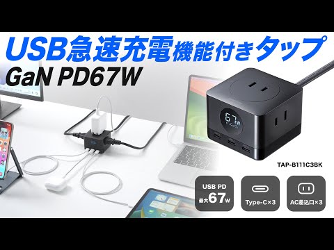SANWA 電源タップ USB Type-C AC 3個口×2 PD対応 GaN PD67W 2m ブラック