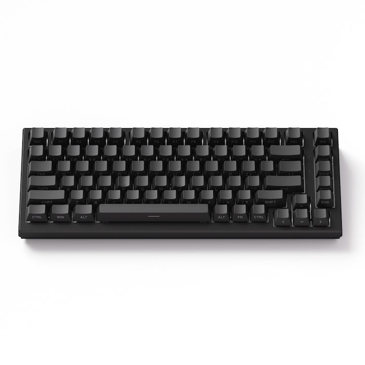 Akko TAC75 HE 75%英語配列 0.005mmラピッドトリガー対応 AstroAim 磁気スイッチ ホットスワップ テンキーレス サイドプリント ダブルショットPBT 8000Hz ポーリングレート 16000Hz スキャンレート SnapKey (SOCD)対応 ARGB対応 高コスパ ゲーミングキーボード