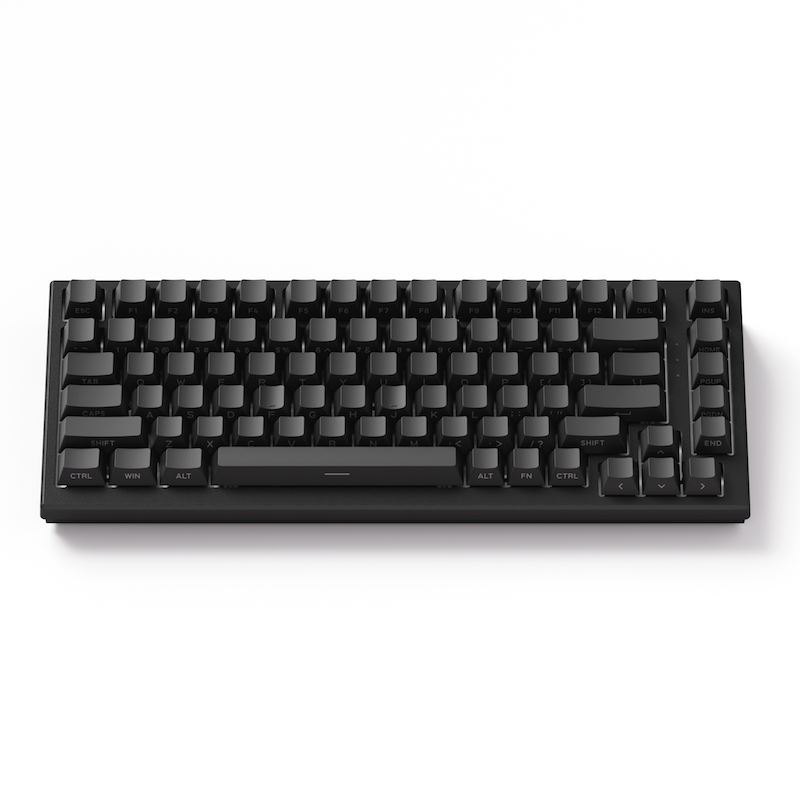 Akko TAC75 HE 75%英語配列 0.005mmラピッドトリガー対応 Astrolink 磁気スイッチ ホットスワップ テンキーレス サイドプリント ダブルショットPBT 8000Hz ポーリングレート 16000Hz スキャンレート SnapKey (SOCD)対応 ARGB対応 高コスパ ゲーミングキーボード