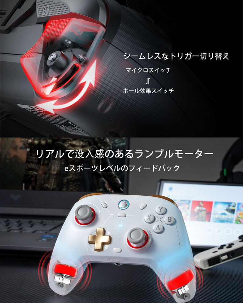 GameSir Cyclone2 Bundle ワイヤレスコントローラー 充電用ドングル付きモデル TMR(トンネル磁気抵抗)技術使用  Nintendo Switch / iOS / Android / WindowsPC対応