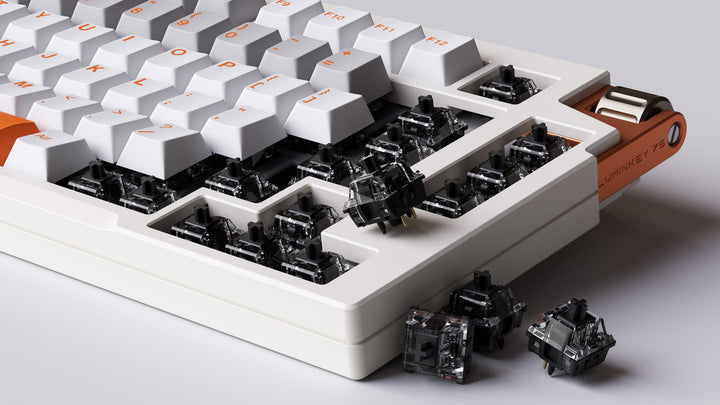 LUMINKEY 75 V2 Wired US配列 有線 81キー 75% メカニカルキーボード | LUMINKEY Astral Switch | Windows / Mac / Linux 対応