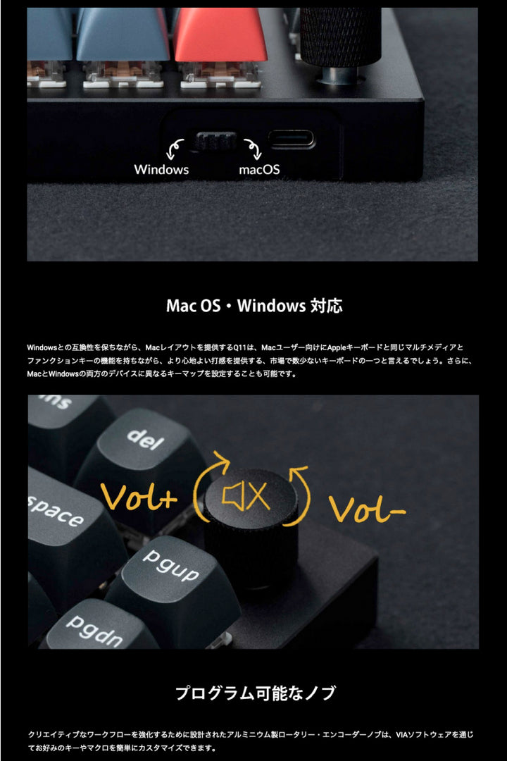 Keychron Q11 QMK/VIA Mac英語配列 スプリットレイアウト 左右分離型 有線 テンキーレス ホットスワップ Gateron G Pro 赤軸 RGBライト メカニカルキーボード