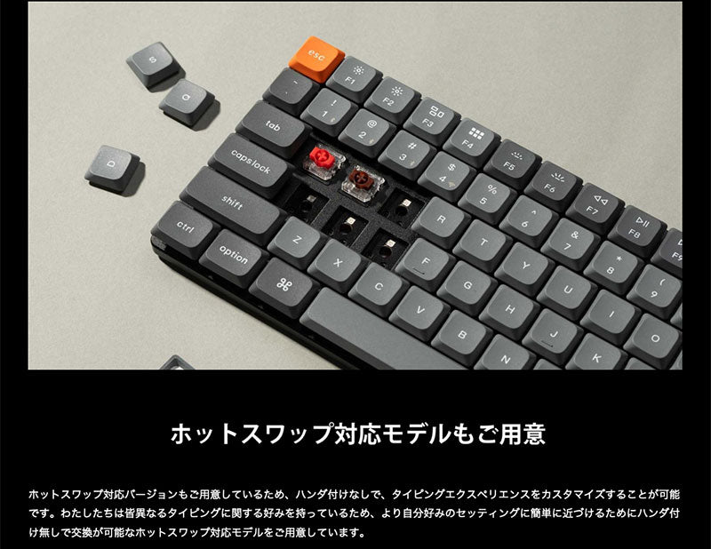 Keychron K3 Max QMK/VIA Mac日本語配列 有線 / Bluetooth 5.1 ワイヤレス 両対応 テンキーレス ホットスワップ Gateron ロープロファイル 2.0 RGBライト メカニカルキーボード