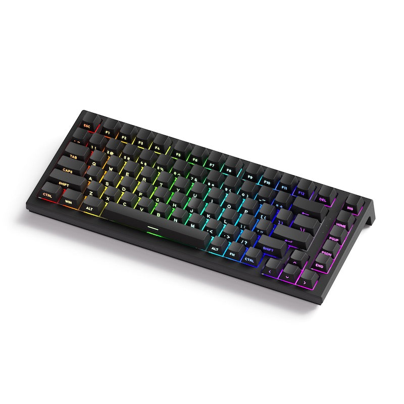 Akko TAC75 HE 75%英語配列 0.005mmラピッドトリガー対応 AstroAim 磁気スイッチ ホットスワップ テンキーレス サイドプリント ダブルショットPBT 8000Hz ポーリングレート 16000Hz スキャンレート SnapKey (SOCD)対応 ARGB対応 高コスパ ゲーミングキーボード