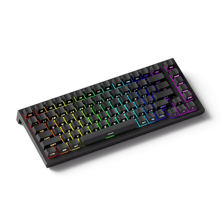 Akko TAC75 HE 75%英語配列 0.005mmラピッドトリガー対応 Astrolink 磁気スイッチ ホットスワップ テンキーレス サイドプリント ダブルショットPBT 8000Hz ポーリングレート 16000Hz スキャンレート SnapKey (SOCD)対応 ARGB対応 高コスパ ゲーミングキーボード