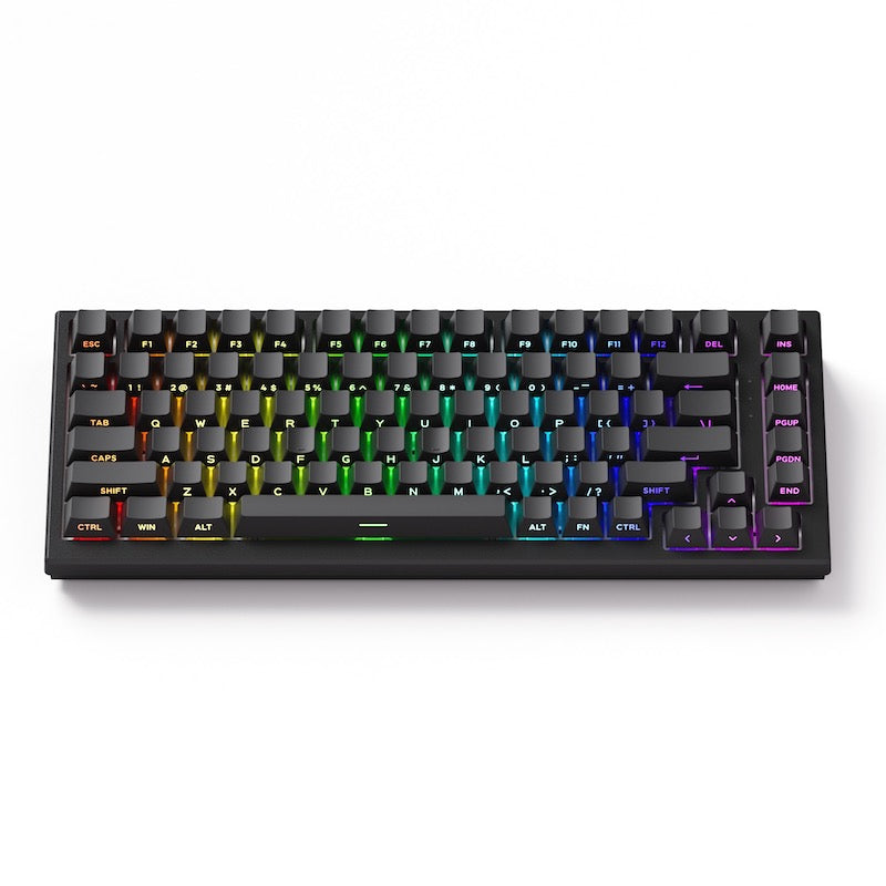 Akko TAC75 HE 75%英語配列 0.005mmラピッドトリガー対応 Astrolink 磁気スイッチ ホットスワップ テンキーレス サイドプリント ダブルショットPBT 8000Hz ポーリングレート 16000Hz スキャンレート SnapKey (SOCD)対応 ARGB対応 高コスパ ゲーミングキーボード