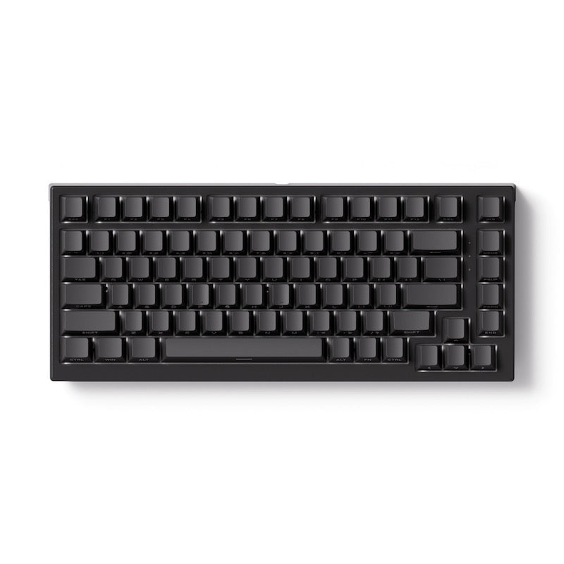 Akko TAC75 HE 75%英語配列 0.005mmラピッドトリガー対応 Astrolink 磁気スイッチ ホットスワップ テンキーレス サイドプリント ダブルショットPBT 8000Hz ポーリングレート 16000Hz スキャンレート SnapKey (SOCD)対応 ARGB対応 高コスパ ゲーミングキーボード