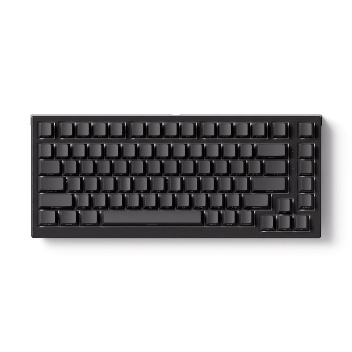 Akko TAC75 HE 75%英語配列 0.005mmラピッドトリガー対応 Astrolink 磁気スイッチ ホットスワップ テンキーレス サイドプリント ダブルショットPBT 8000Hz ポーリングレート 16000Hz スキャンレート SnapKey (SOCD)対応 ARGB対応 高コスパ ゲーミングキーボード