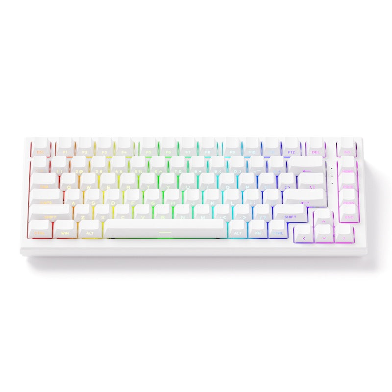 Akko TAC75 HE 75%英語配列 0.005mmラピッドトリガー対応 Astrolink 磁気スイッチ ホットスワップ テンキーレス サイドプリント ダブルショットPBT 8000Hz ポーリングレート 16000Hz スキャンレート SnapKey (SOCD)対応 ARGB対応 高コスパ ゲーミングキーボード