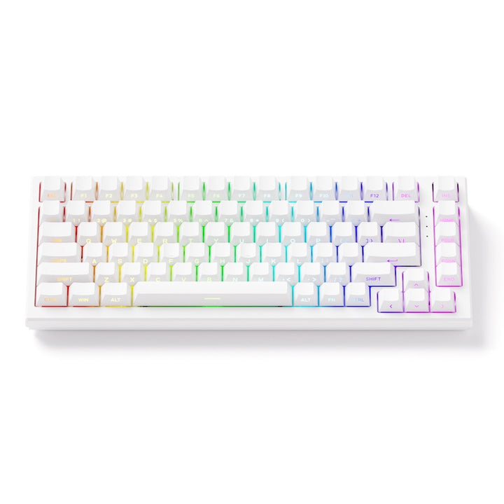 Akko TAC75 HE 75%英語配列 0.005mmラピッドトリガー対応 Astrolink 磁気スイッチ ホットスワップ テンキーレス サイドプリント ダブルショットPBT 8000Hz ポーリングレート 16000Hz スキャンレート SnapKey (SOCD)対応 ARGB対応 高コスパ ゲーミングキーボード