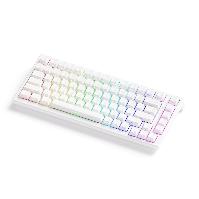 Akko TAC75 HE 75%英語配列 0.005mmラピッドトリガー対応 Astrolink 磁気スイッチ ホットスワップ テンキーレス サイドプリント ダブルショットPBT 8000Hz ポーリングレート 16000Hz スキャンレート SnapKey (SOCD)対応 ARGB対応 高コスパ ゲーミングキーボード