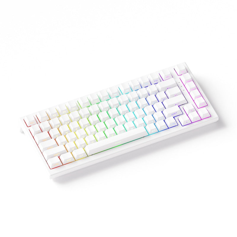 Akko TAC75 HE 75%英語配列 0.005mmラピッドトリガー対応 Astrolink 磁気スイッチ ホットスワップ テンキーレス サイドプリント ダブルショットPBT 8000Hz ポーリングレート 16000Hz スキャンレート SnapKey (SOCD)対応 ARGB対応 高コスパ ゲーミングキーボード