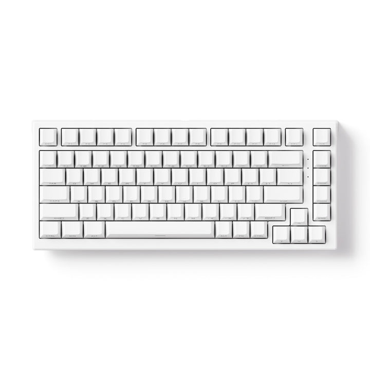 Akko TAC75 HE 75%英語配列 0.005mmラピッドトリガー対応 Astrolink 磁気スイッチ ホットスワップ テンキーレス サイドプリント ダブルショットPBT 8000Hz ポーリングレート 16000Hz スキャンレート SnapKey (SOCD)対応 ARGB対応 高コスパ ゲーミングキーボード