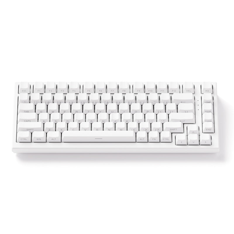 Akko TAC75 HE 75%英語配列 0.005mmラピッドトリガー対応 AstroAim 磁気スイッチ ホットスワップ テンキーレス サイドプリント ダブルショットPBT 8000Hz ポーリングレート 16000Hz スキャンレート SnapKey (SOCD)対応 ARGB対応 高コスパ ゲーミングキーボード