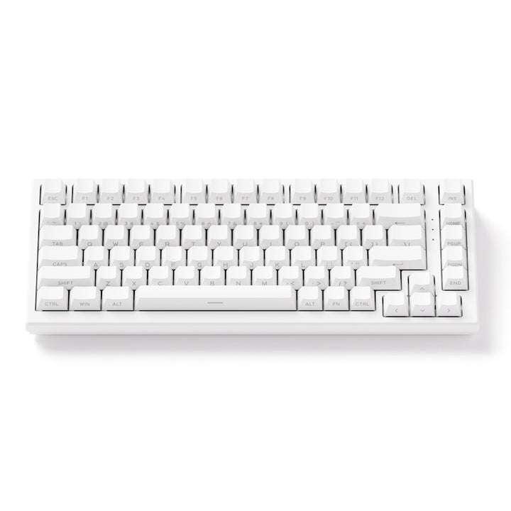Akko TAC75 HE 75%英語配列 0.005mmラピッドトリガー対応 AstroAim 磁気スイッチ ホットスワップ テンキーレス サイドプリント ダブルショットPBT 8000Hz ポーリングレート 16000Hz スキャンレート SnapKey (SOCD)対応 ARGB対応 高コスパ ゲーミングキーボード