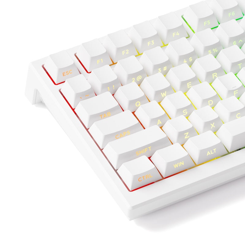 Akko TAC75 HE 75%英語配列 0.005mmラピッドトリガー対応 Astrolink 磁気スイッチ ホットスワップ テンキーレス サイドプリント ダブルショットPBT 8000Hz ポーリングレート 16000Hz スキャンレート SnapKey (SOCD)対応 ARGB対応 高コスパ ゲーミングキーボード