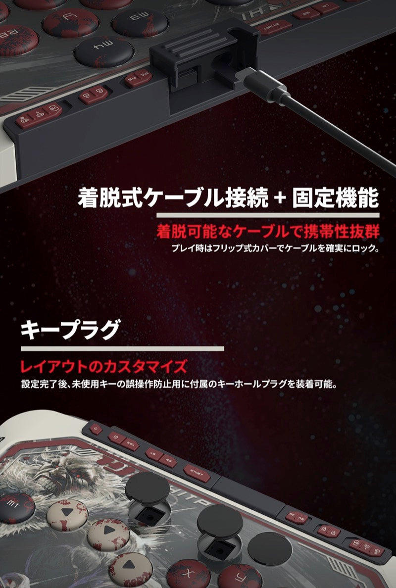 HJK GAMING HJK HITPAD PC/NSW対応 レバーレスコントローラ STREET FIGHTER 6 GOUKI EDITION