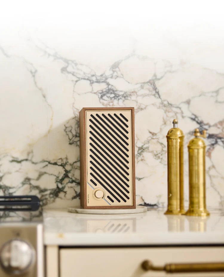 Tivoli Audio Model Two Digital Bluetooth Wi-Fi 対応 スピーカー Tivoli Audio Model Two Digital Bluetooth Wi-Fi 対応 スピーカー