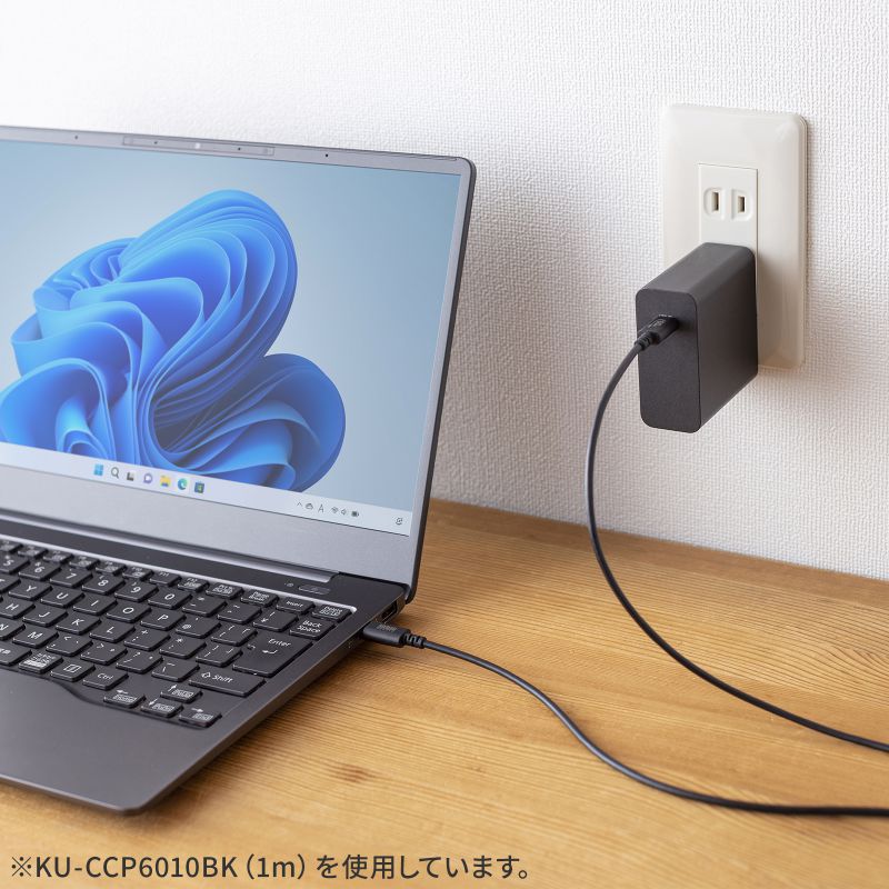 SANWA Type-C 充電ケーブル急速充電 PD対応 60W USB-IF認証品 通信ケーブル