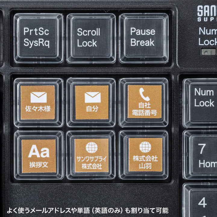SANWA 有線 プログラマブルキーボード 日本語配列 有線 テンキー付き 108キー マクロキーボード 割り当て機能 メンブレン 業務効率化
