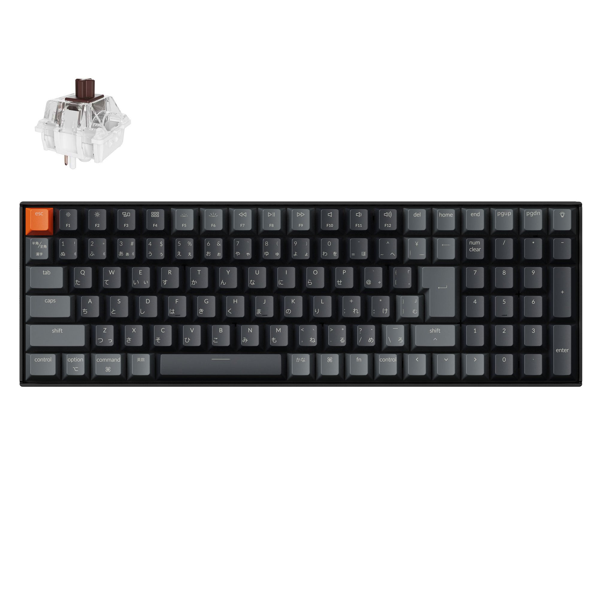 kitcut+ キットカットプラス – kitcut plus ・オンラインストア