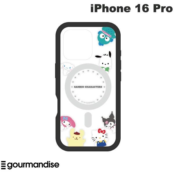 iPhone 16 Pro / サンリオ ミックス