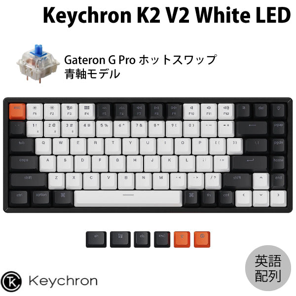 英語配列 / ホットスワップ Gateron G Pro 青軸 / WHITE LEDライト