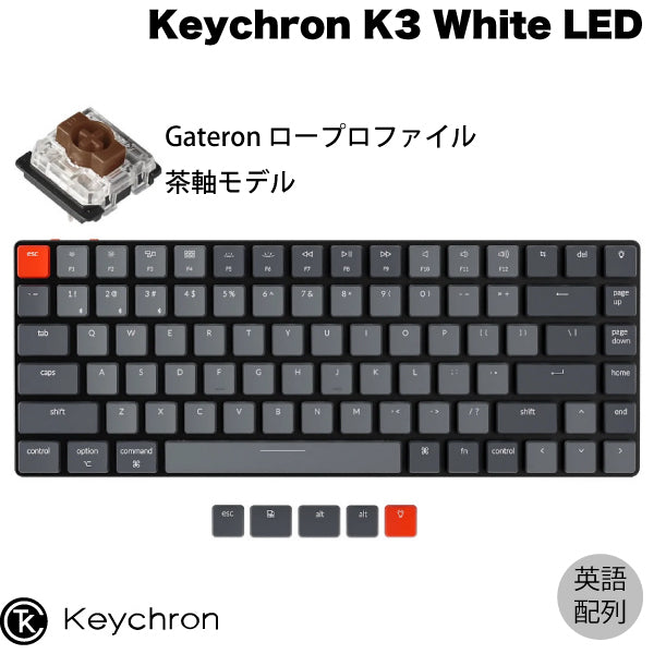 英語配列 / Gateron 茶軸 / White LEDライト