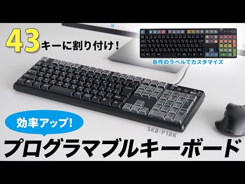 SANWA 有線 プログラマブルキーボード 日本語配列 有線 テンキー付き 108キー マクロキーボード 割り当て機能 メンブレン 業務効率化